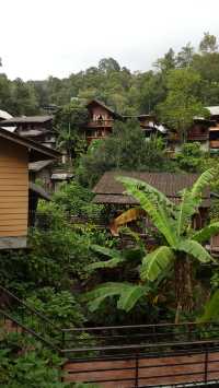 🌿 Mae Kampong: A Hidden Gem in Chiang Mai’s Misty Mountains