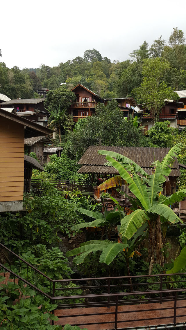🌿 Mae Kampong: A Hidden Gem in Chiang Mai’s Misty Mountains