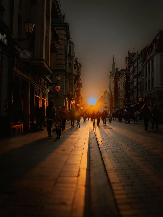 【天文学者コペルニクスの故郷で歴史散歩】トルン旧市庁舎🌍🏛️ 【天文学者コペルニクスの故郷で歴史散歩】トルン旧市庁舎🌍🏛️