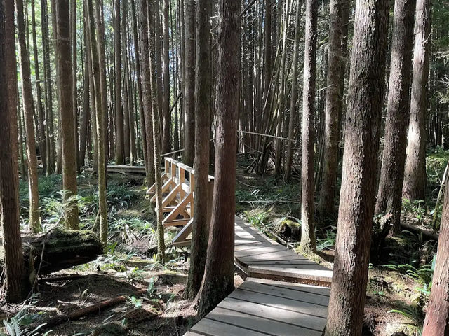 Pacific Rim National Park Reserve 🌊🌲