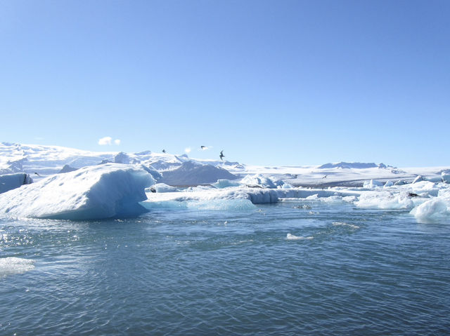 冰島Jökulsárlón冰河湖