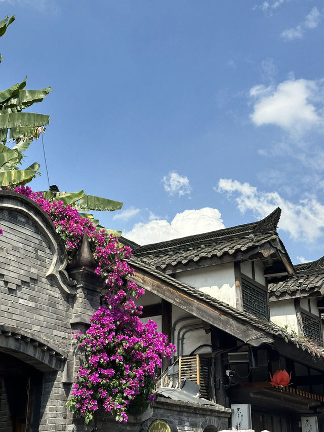 Chengdu’s Kuan Zhai Alley: Where History Meets Modern Buzz