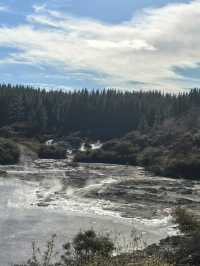 Hell’s Gate – Geothermal Wonder and Cultural Experience in New Zealand