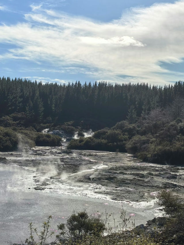 Hell’s Gate – Geothermal Wonder and Cultural Experience in New Zealand