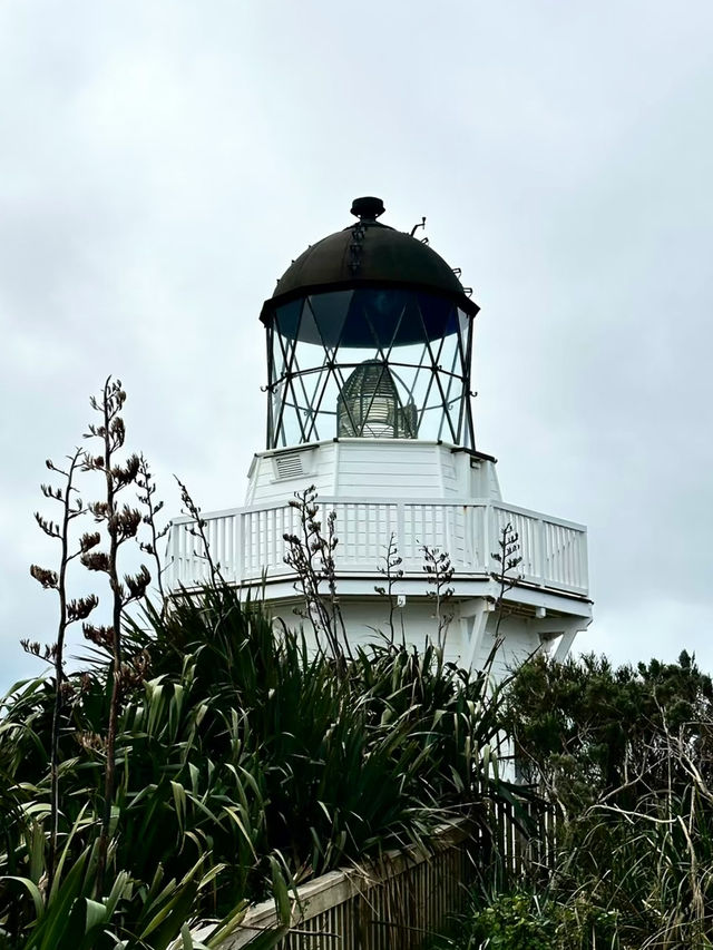 Manukau Lighthouse – Guiding the Shores of Auckland’s West Coast
