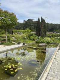 태안간다면 꼭! 바다와 숲이 어우러진 자연 속 힐링 공간