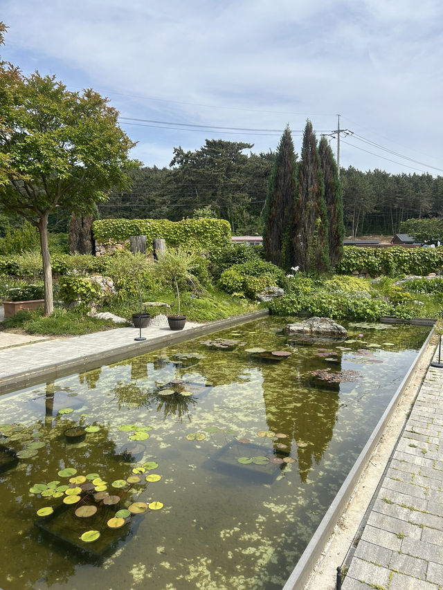 태안간다면 꼭! 바다와 숲이 어우러진 자연 속 힐링 공간 태안간다면 꼭! 바다와 숲이 어우러진 자연 속 힐링 공간