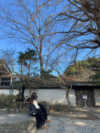 悠閒鎌倉半日靚景