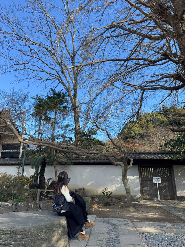 悠閒鎌倉半日靚景 悠閒鎌倉半日靚景