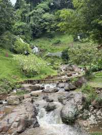 WTF COFFEE CAMP คาเฟ่น้ำตกที่สวยที่สุด ⛰️
