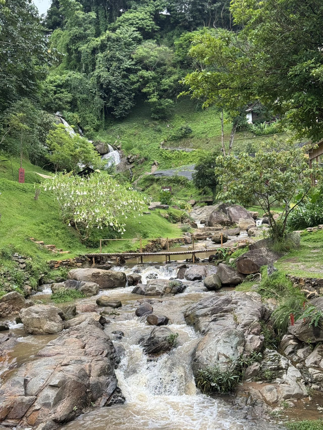 WTF COFFEE CAMP คาเฟ่น้ำตกที่สวยที่สุด ⛰️
