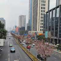 สะพานอันชุน (Anshun Bridge) เฉิงตู