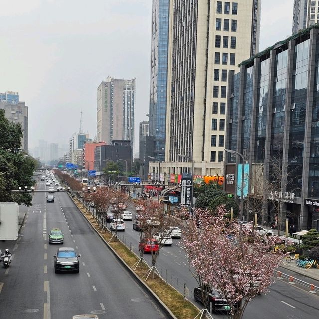 สะพานอันชุน (Anshun Bridge) เฉิงตู