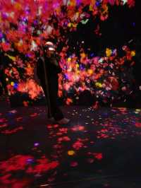 teamLab Borderless Magic at Tokyo🌟