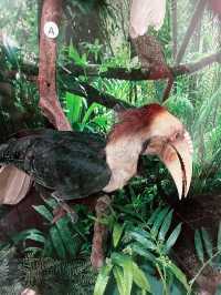 Natural History Museum: Must-Visit Treasure in Borneo