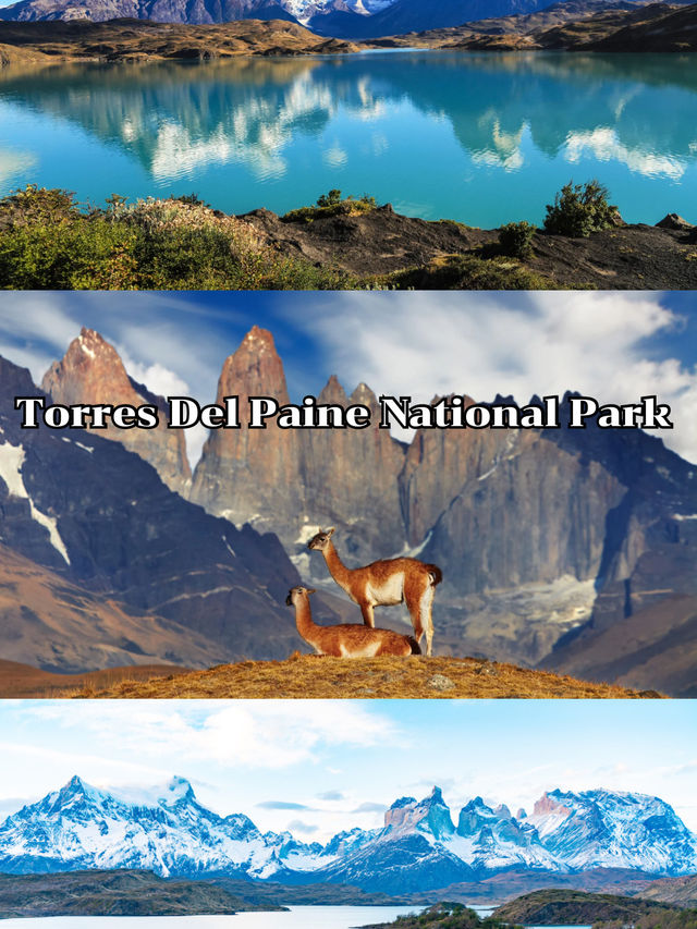 Torres Del Paine National Park  Torres Del Paine National Park