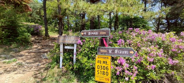 清州上黨山城,來享受美麗的風景吧!😍 清州上黨山城,來享受美麗的風景吧!😍
