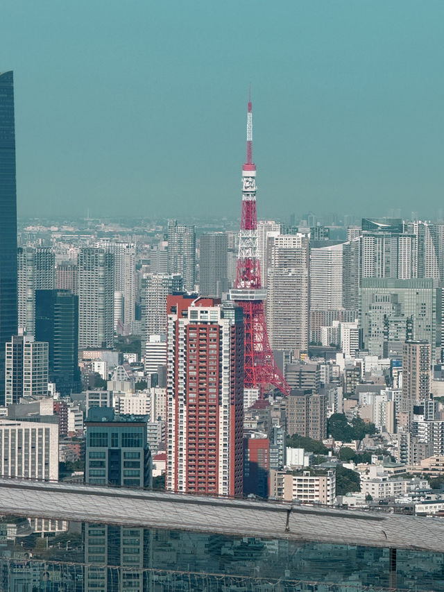 東京|信我一次! Shibuya sky真的美得不像話 東京|信我一次! Shibuya sky真的美得不像話