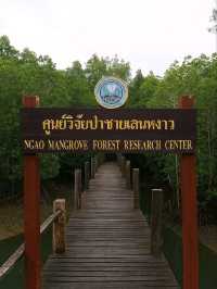 จังหวัดระนอง