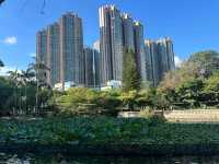 Tsing Yi Park