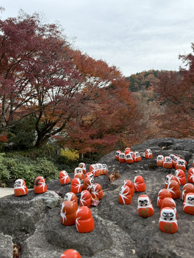 大阪近郊紅葉靚景（期間限定）