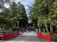 仙台東照宮｜徳川家康を祀る、歴史と桜と絶景の社