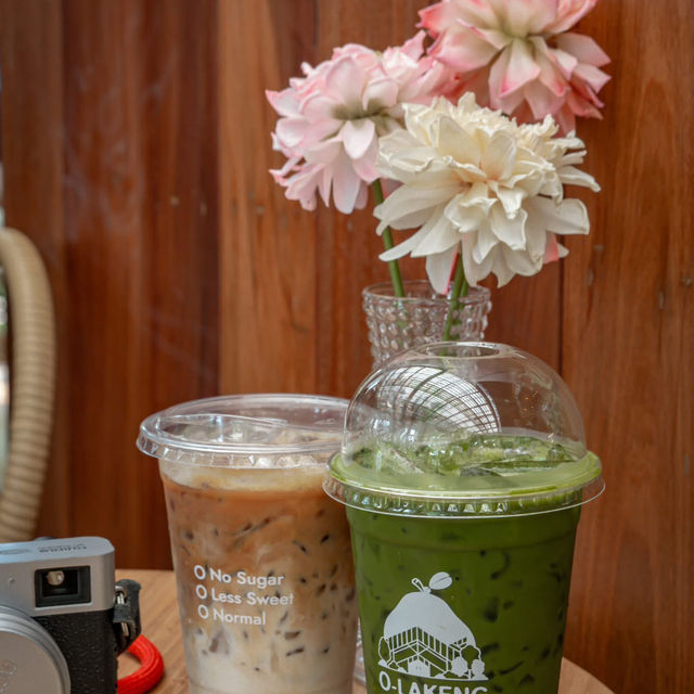 เปิดแมพคาเฟ่ใหม่ นนทบุรี! Olakheng คาเฟ่ในสวน