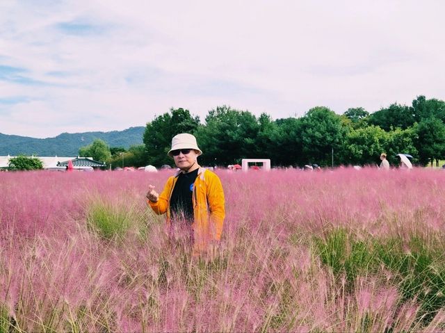 천만송이 천일홍 축제