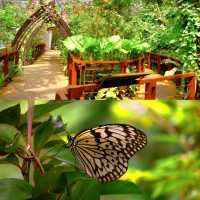 Butterfly Wonderland at Entopia: A Must-Visit in Penang 🦋🌺