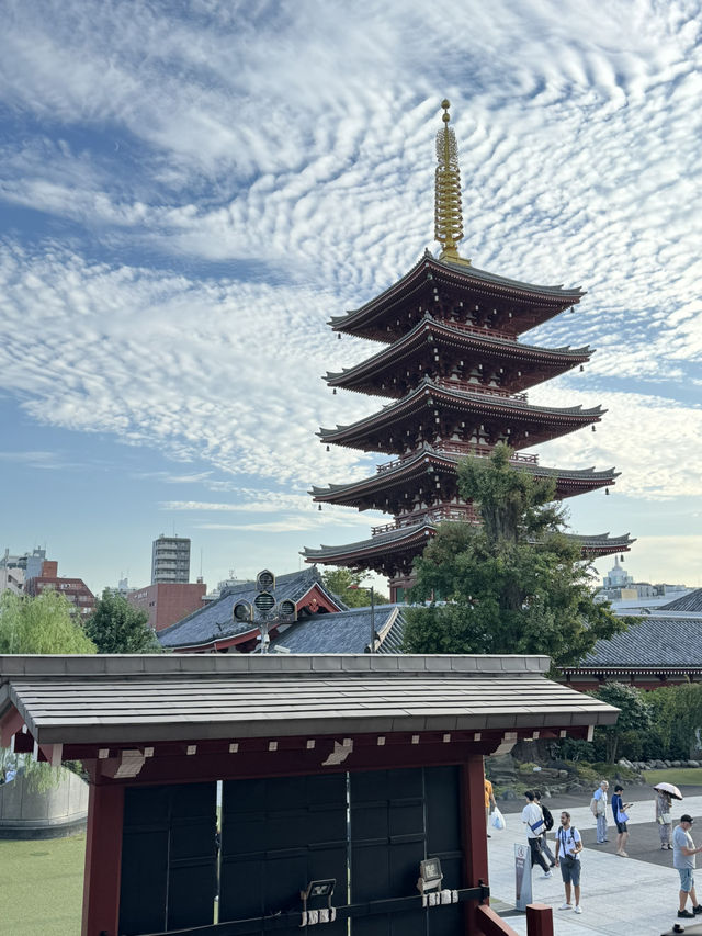 東京3天2夜小旅行🇯🇵