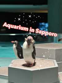 ✨Aquarium เดินทางง่ายใน Sapporo✨
