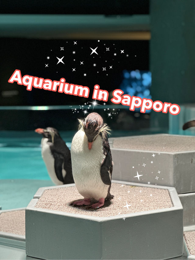 ✨Aquarium เดินทางง่ายใน Sapporo✨