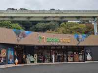 名古屋親子活動最佳場所#名古屋東山動植物園-日本愛知縣名古屋市