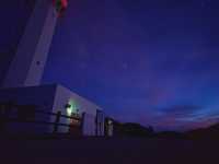 수영못함 미야코지마