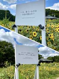 🎨 Art Meets Nature at Kasai Rinkai Park