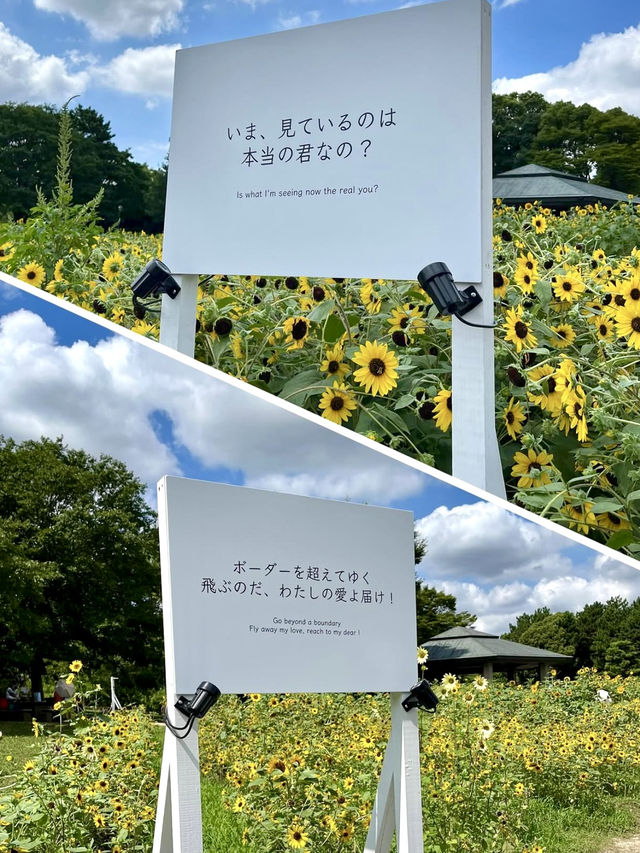 🎨 Art Meets Nature at Kasai Rinkai Park