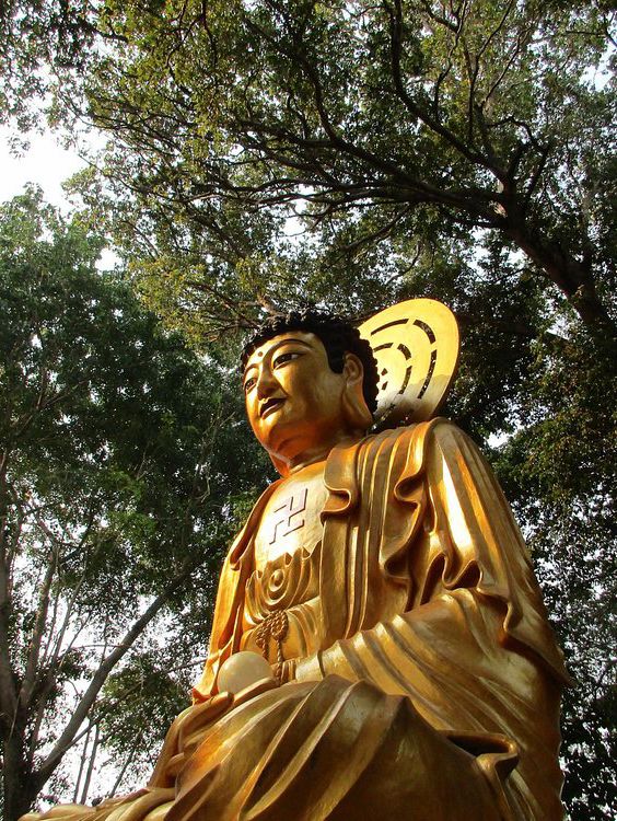 Banyan Tree Temple