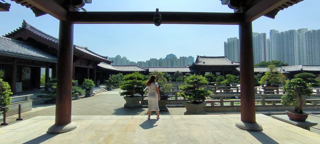 Chi Lin Nunnery, Hong Kong