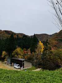 四季を感じながらくつろげる場所や地元産のものがたくさん！