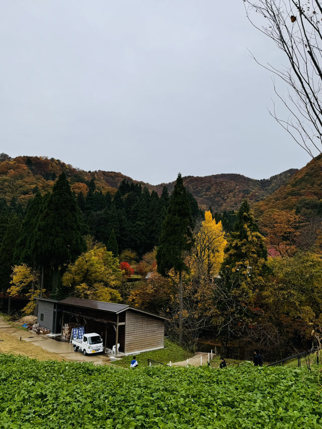 四季を感じながらくつろげる場所や地元産のものがたくさん！