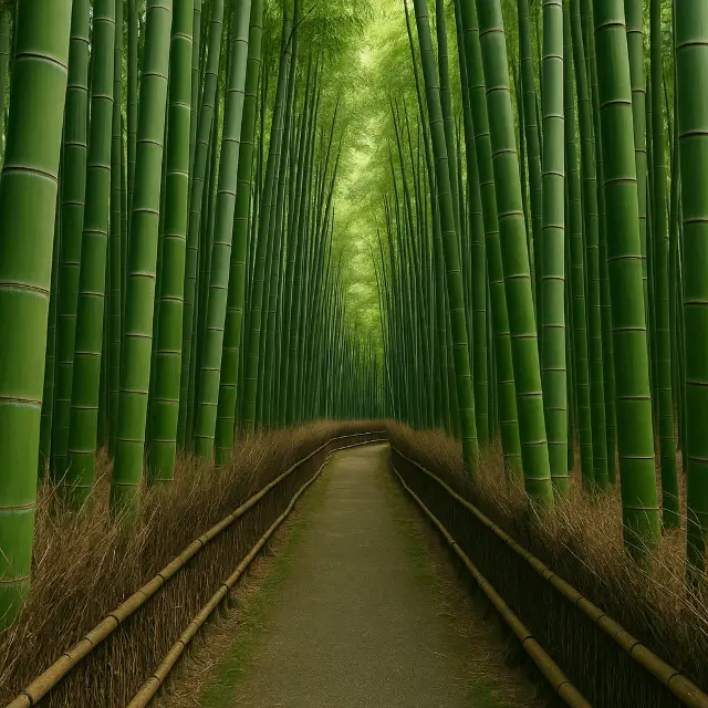교토 아라시야마, 대나무 숲길과 도게츠교가 있는 풍경