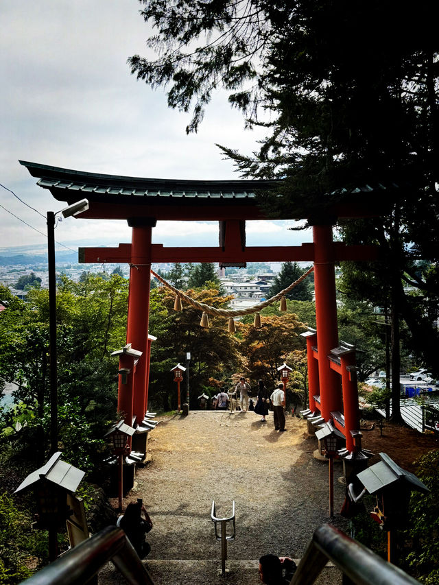 Sengen Park Escape🌳 Panorama view of Mt.Fuji