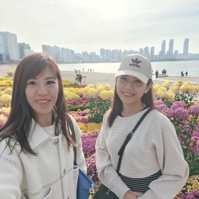 釜山🇰🇷廣安大橋🌁海濱咖啡街～花海片片