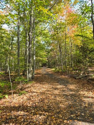Enjoy Canada's Nature Without the Effort