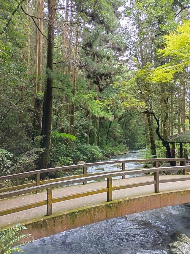 🕳️🌌 Beneath the Earth at Akiyoshido Cave 🌿✨