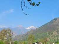 Mughal Gardens