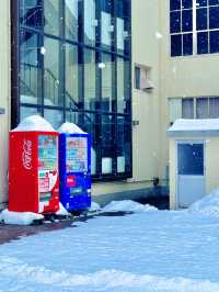 โ๏ธ๐ โ๊ฒจ์ธ ๋ญ๋ง์ ํญ๊ตฌ ๋์ โ ์คํ๋ฃจ ๊ฒจ์ธ์ฌํ ๊ฐ์ด๋โ