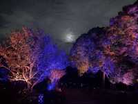 🌸大阪3日間の小旅行🌸