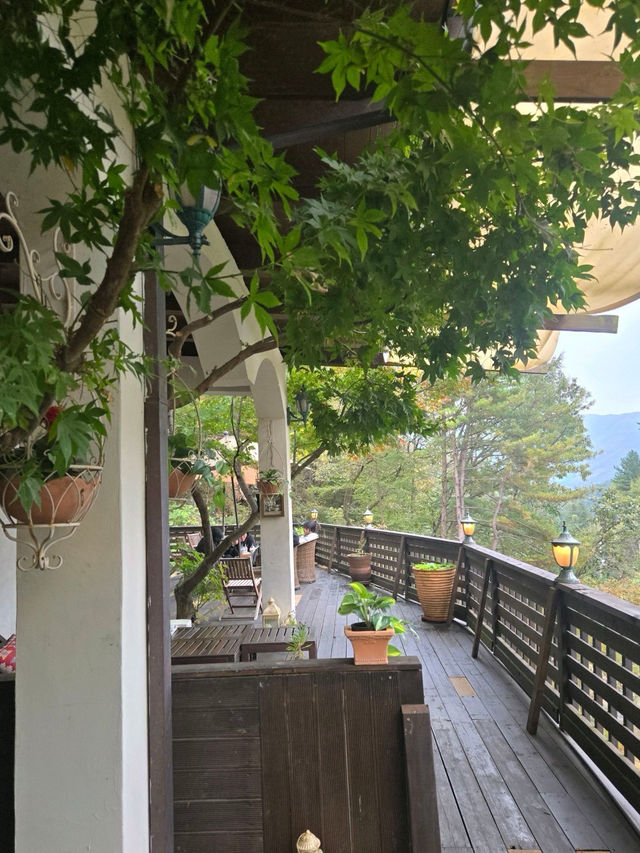 🤎가평 릴리 숲뷰가 아름다운 가을 추천🧡