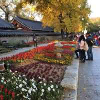 🇰🇷 Jeonju Walking Route: Hanok Village → Omokdae & Imokdae → Jaman Mural Village